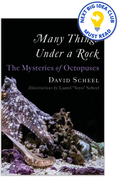 Many Things Under a Rock  David Scheel, Laurel Yoyo Scheel